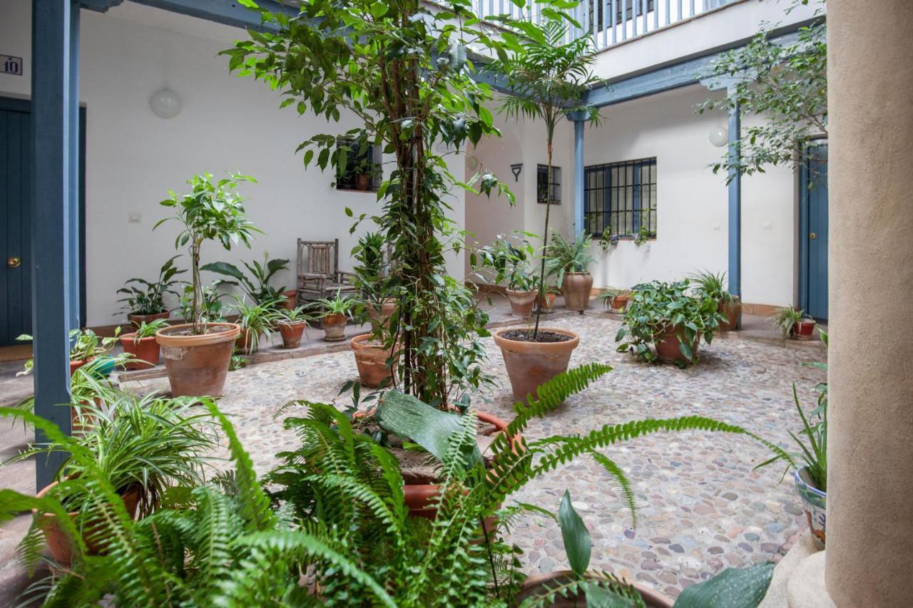 Espectacular Apartamento Con Terraza Privada Parking Σεβίλλη Εξωτερικό φωτογραφία